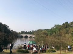 景点-重庆园博园