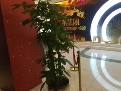 点击看大图 -美莱医学美容医院