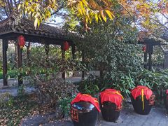 -尚贤河湿地