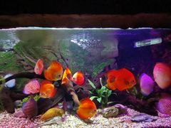 -上海海洋水族馆