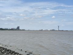 -上海滨江森林公园