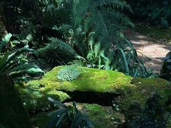 -昆明植物园