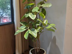-乡村井冈·乡野江西菜(黄龙店)