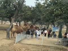 -西安秦岭野生动物园
