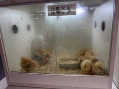 -宁波九龙湖开元度假村