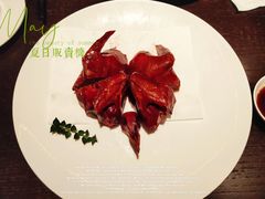 -甄御•海鲜新青岛菜(麦岛店)