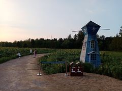 -日照海滨国家森林公园