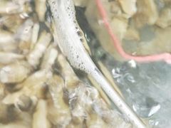 -晓伟海鲜家常菜