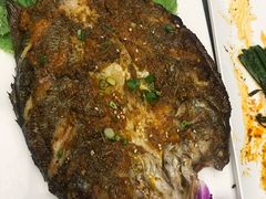 -小杨烤肉(高新店)