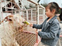 -J Create城市露营咖啡·简餐·宠物(上海动物园店)