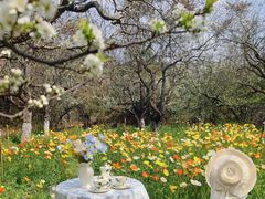 -名花谷生态庄园