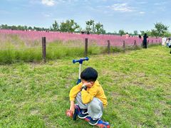 -汉长安城未央宫国家考古遗址公园