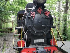 -五营红松林海景区