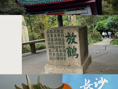 -岳麓山风景名胜区