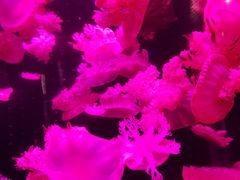 -多彩贵州城极地海洋世界