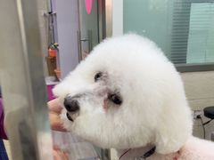 -暖阳宠物医院·犬猫康复中心·骨科