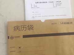 -关爱宠物医院·猫科中心·消化科(滨湖万达分院)