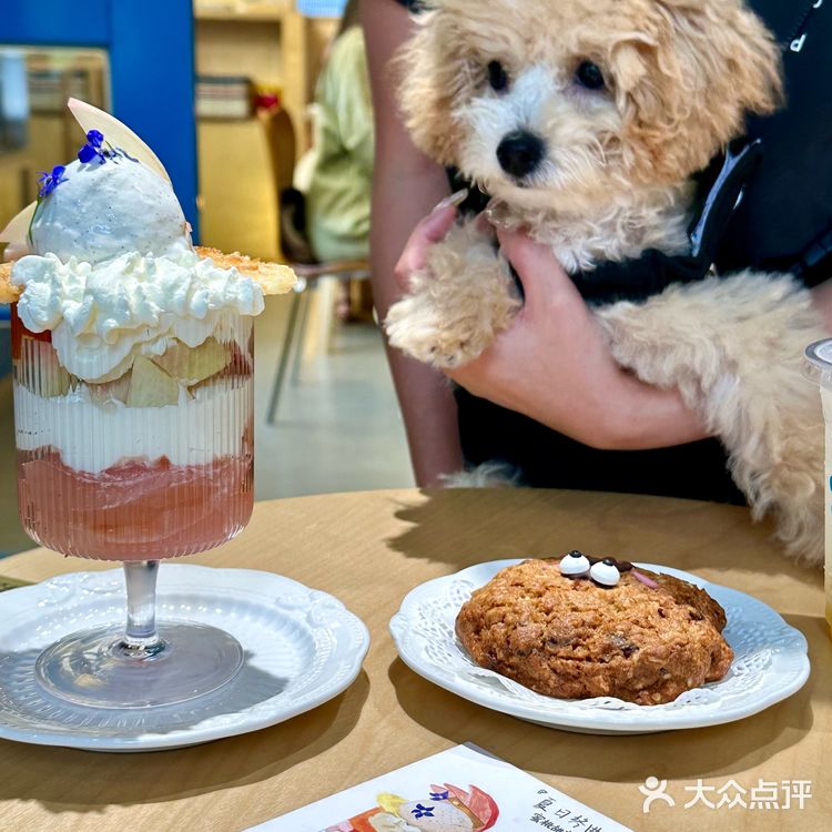 上海新开的漂亮小甜品！是宠物友好店