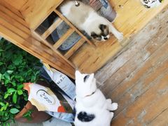 -三仟津花园咖啡馆