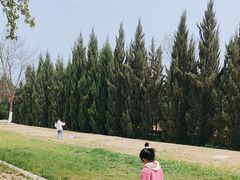 -汉长安城未央宫国家考古遗址公园