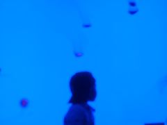 -沈阳海洋探索中心