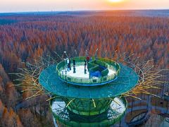 -黄海国家森林公园