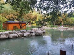 -头壹号饸饹面·大油条(东升科技园店)