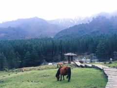 -硗碛藏寨·神木垒景区