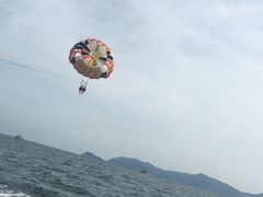 景点-东姑阿都拉曼海洋公园