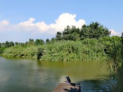 -沙家浜风景区