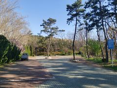 -棒棰岛宾馆景区
