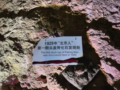 -周口店北京人遗址公园