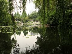 -紫竹院公园冰场