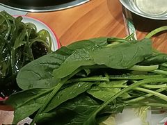 -成老灶火锅鸡(平山店)