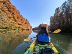-上海海湾国家森林公园