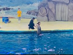 -福州罗源湾海洋世界旅游区