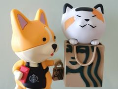 -星巴克(深圳音乐厅店)