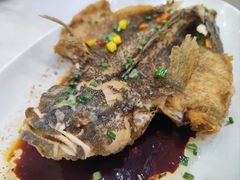蒸石斑-花好悦园酒家(大石店)