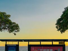 -宝安西湾红树林湿地公园