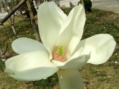 -解放人民公园