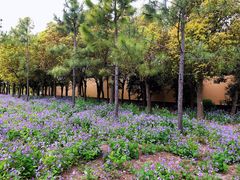 -狼山风景名胜区