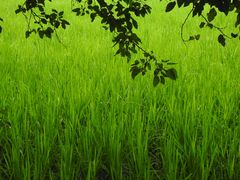 -稻香湖景欢乐岛温泉城堡