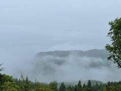 -武陵山森林公园