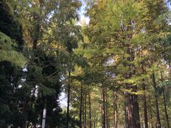 -苏州河梦清园环保主题公园