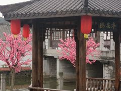 -南国桃园旅游度假区