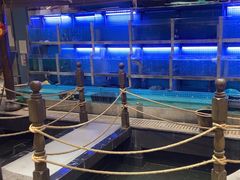 -赴宴楼(鸠兹古镇店)