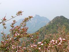 -泰山风景名胜区