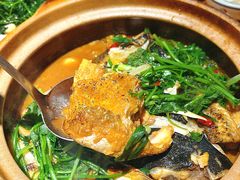 -九道菜有鸡鱼头(石鼓路店)