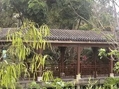 -金成潮菜博物馆(海珠湿地店)