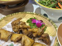 -陶缘一号·四季缘·老字号顺德菜·户外婚礼家宴(西滘店)